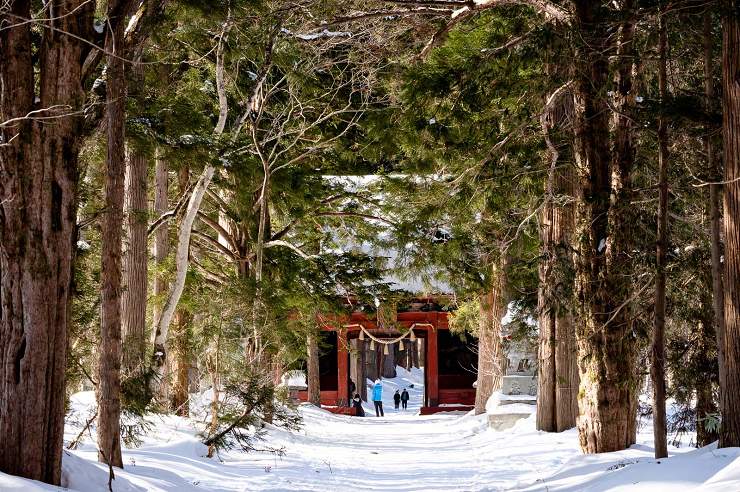 信濃鐵道ROKUMON《洋食》賞雪6天