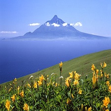感受地球之旅 北海道《利尻島.禮文島》七日