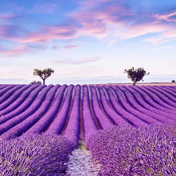 
創意南法摩納哥安道爾~艾澤懸村馬賽遊船光影採石場呂貝宏山居歲月庇里牛斯山閒情12天