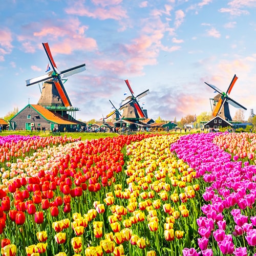 創意荷蘭比利時盧森堡~莫澤河特麗爾珍珠耳環女孩羊角村北海原野蒸汽火車彩繪13天