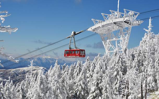 山海遊(賞雪)6天
