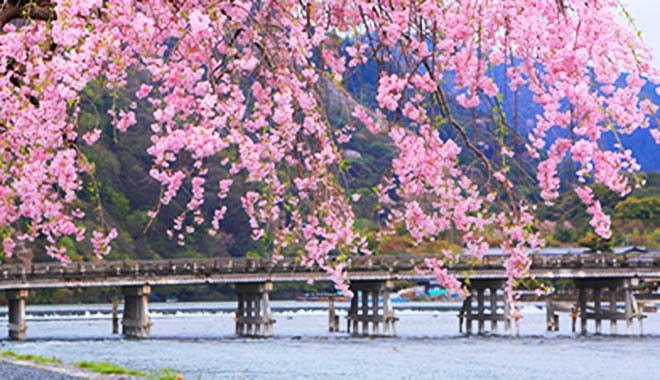 海與森的樂章 京都．兵庫5天