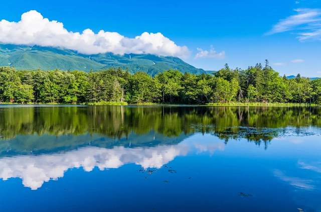   夏日北海道玩不夠７天