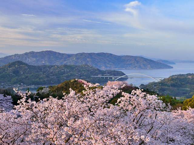 櫻韻瀨戶‧雅遊四國5日