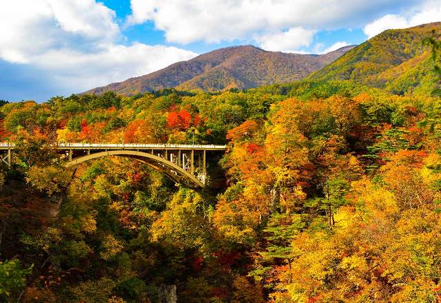 楓彩東北(賞楓)名湯7天