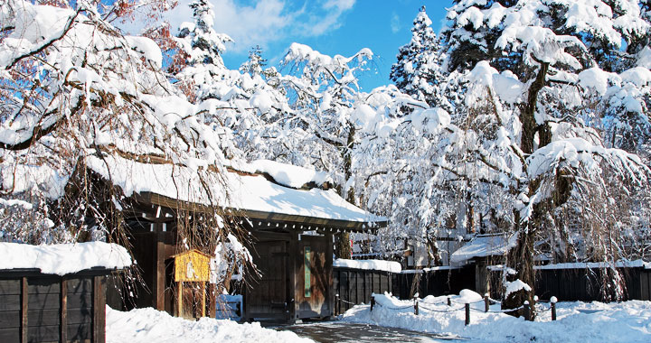 探索秋田文化之旅7天