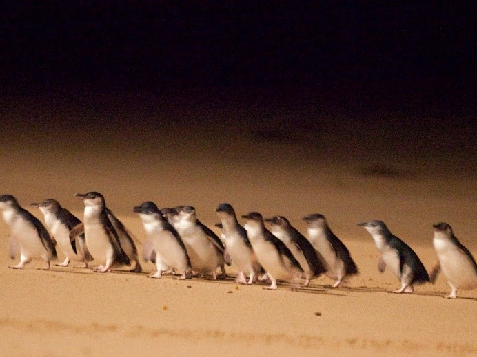 		熊好玩慢遊東澳11天