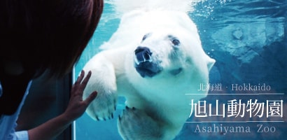 旭山動物園