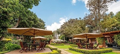 凱倫布拉森咖啡莊園