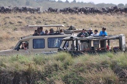 馬塞馬拉動物園動物保護區