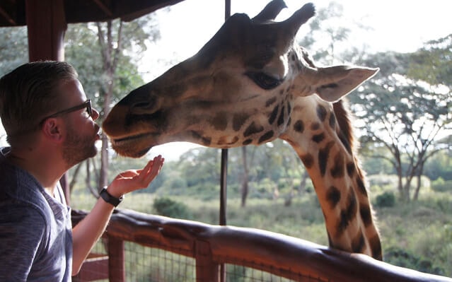 非洲肯亞百萬動物8天