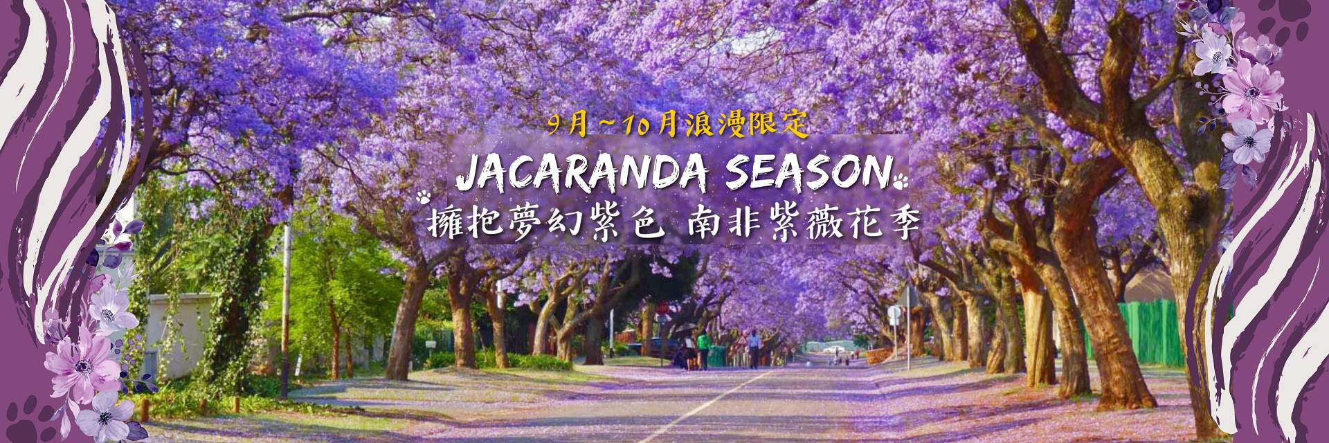 9~10月南非紫薇花