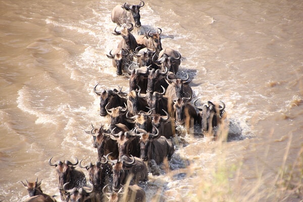 肯亞旅遊實境分享