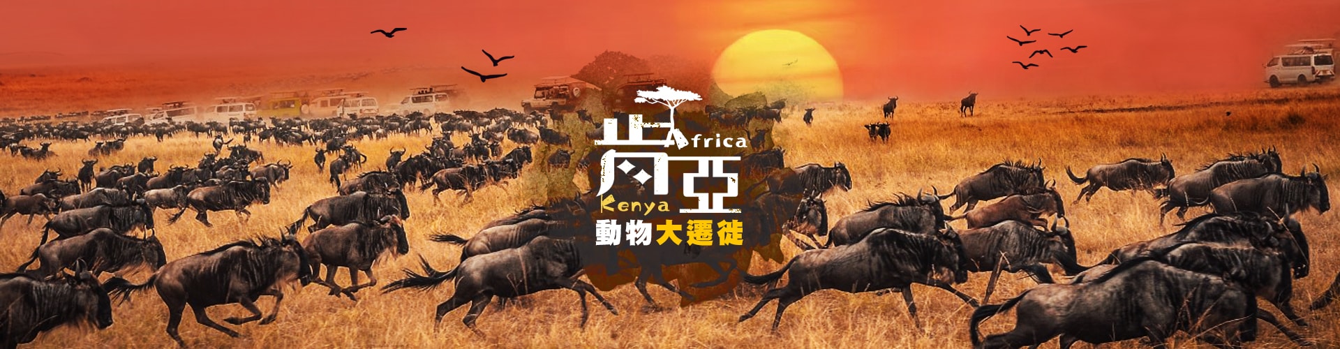 肯亞動物大遷徙