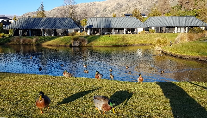 東非肯亞原野遊獵9天