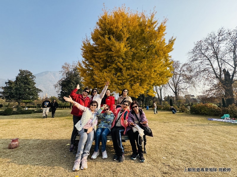 創意印度+尼泊爾9日