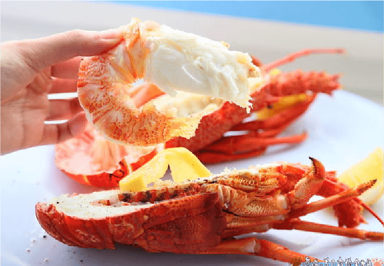 凱庫拉龍蝦饗宴